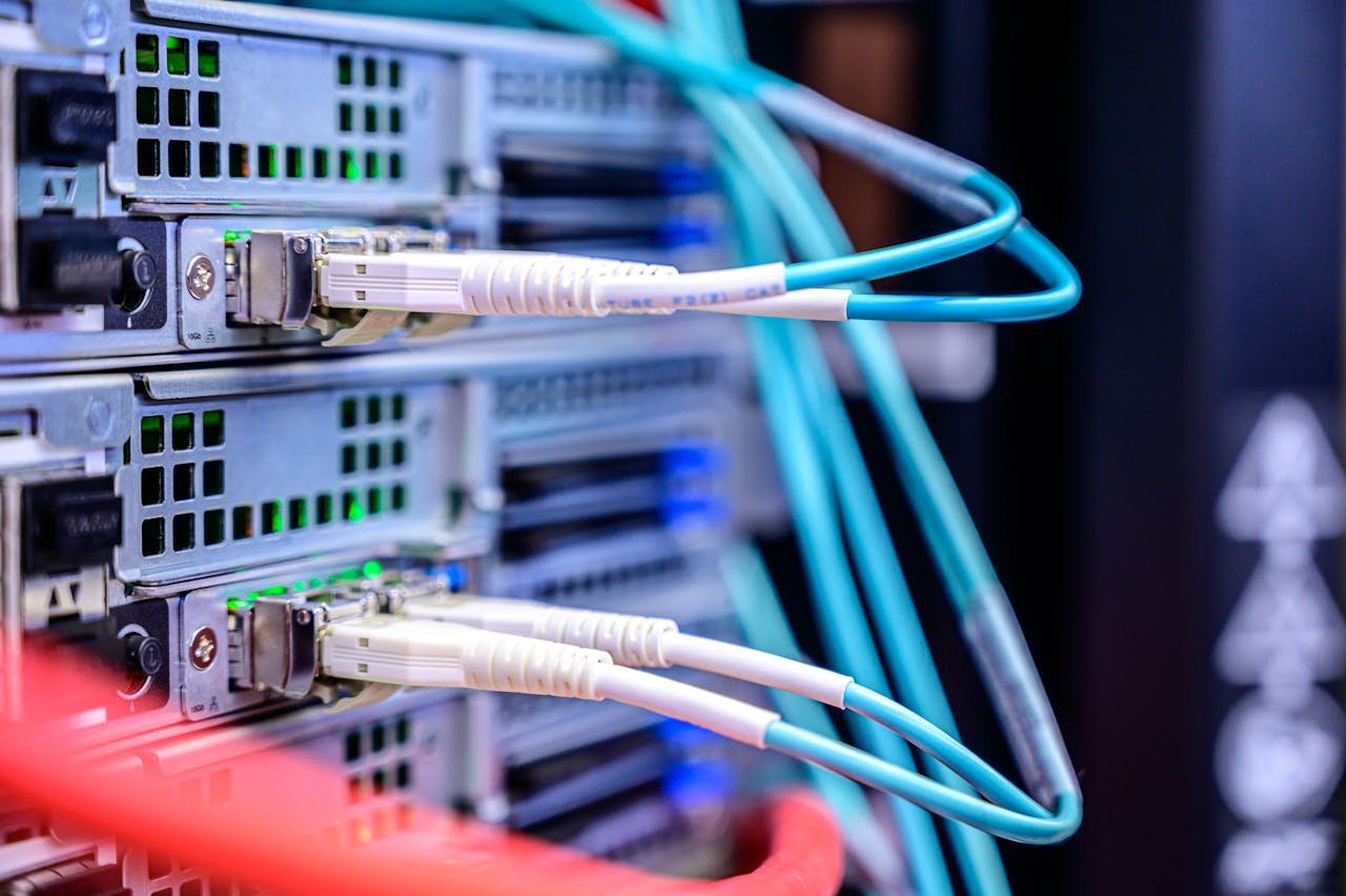 Services Detailed shot of Ethernet cables connected to server ports highlighting technology infrastructure.